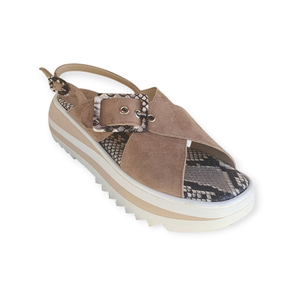 H177S Cam. new biscuit